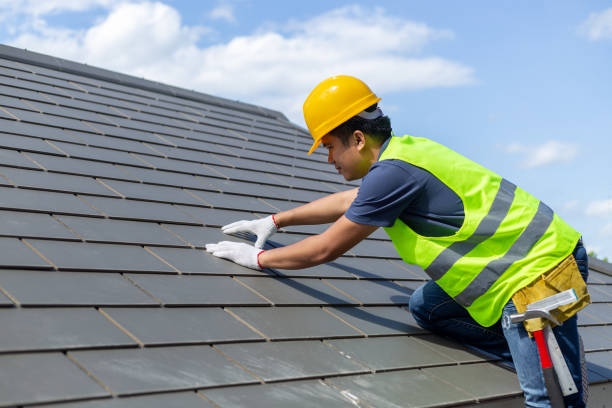 Best Roof Gutter Cleaning  in Newburg, WI