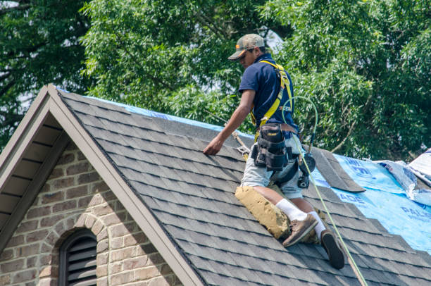 Best Local Roofing Companies  in Newburg, WI